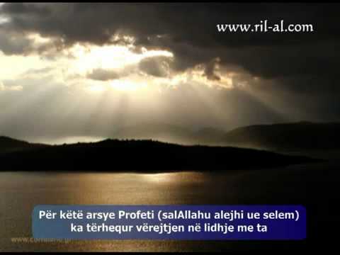 Shejh Salih el Feuzani ne lidhje me bidatcinjte