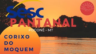 preview picture of video 'SESC Pantanal - Corixo do Moquem'