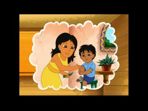 Go Diego Go Wind Storm