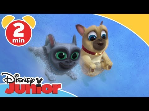 Hvalpevenner | Vug som en pingvin - Disney Junior Danmark