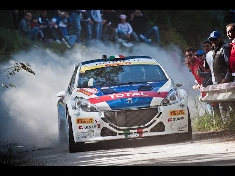 Rally Targa Florio 2014 -- Andreucci e Peugeot 208 T16, Highlights
