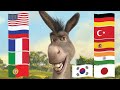 Talking Donkey In Different Languages Shrek