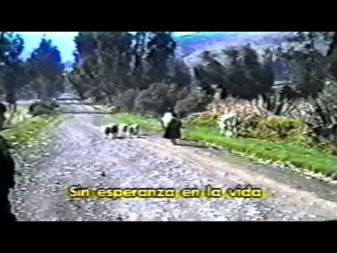 Tu Nomas Tienes La Culpa / Flor Pucarina / Huancayo - Peru