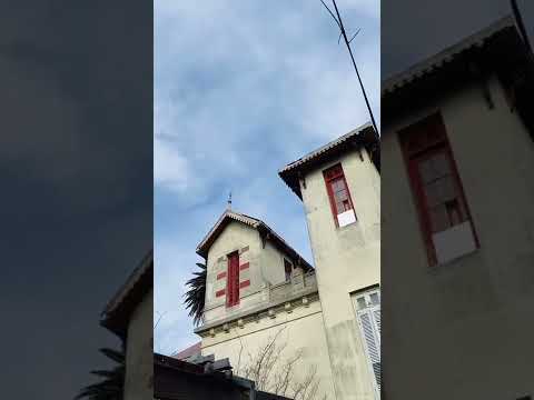 Video de YouTube - Casa en Venta de 6 dormitorios  en Prado, Montevideo