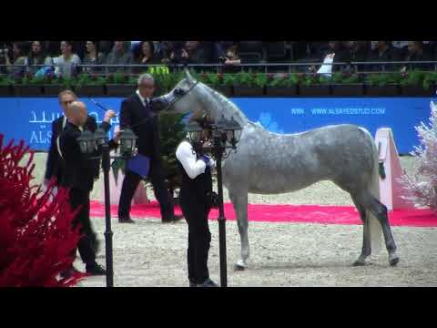 Memories of Paris 2019 - World Championships - Part 13 - Championship - Senior Female