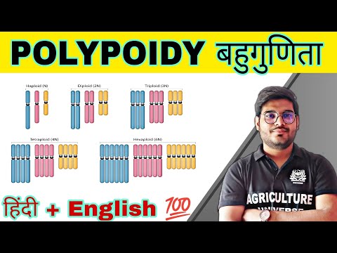defination allopolyploid allopolyploid kya hai allopolyploid in hindi what is allopolyploid