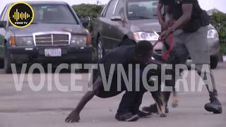 Most Intelligent Security Performance By Nigeria Police K9 Dogs