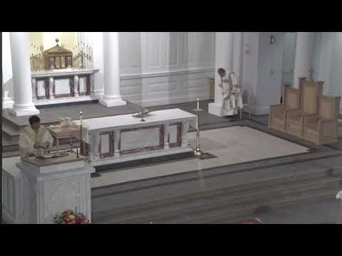 “Dedication of the Basilicas: Saint Peter and Saint Paul” Homily