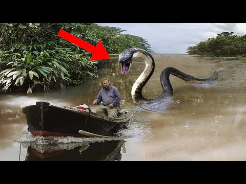 10 Of The Worst Snake Attacks On Humans!
