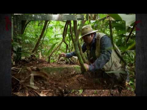 Die verlorene Stadt: Gibt es den Fluch?