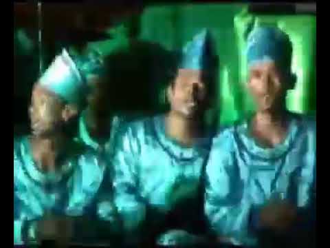 Stapo Merak Mas-Kembara