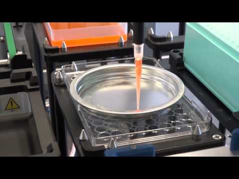 Biomek NX Span8 pipettiert auf Kreisbahn