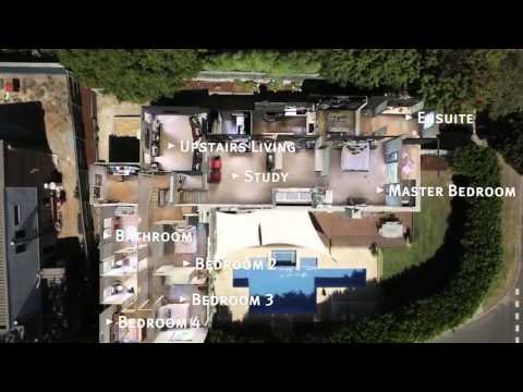 Realistic Views Photography Darwin 3D Scan Movie