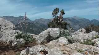 preview picture of video 'Mallorca - Castell d´Alaro´'