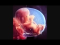 MoTrip Embryo Triptheorie / Meine Rhymes & Ich ...