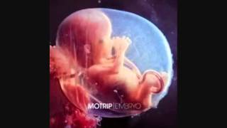 MoTrip Embryo Triptheorie / Meine Rhymes & Ich  02.03.12 Video Antwort