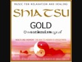 Shiatsu Gold Llewellyn