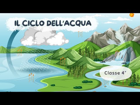 Il ciclo dell'acqua - Scuola Primaria - Classe 4° || Scienze