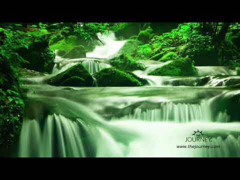 💝 Daily Healing Meditation #1