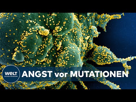 CORONA-MUTANTEN: Infektionsgeschehen setzt Merkel-Regierung unter massiven Druck