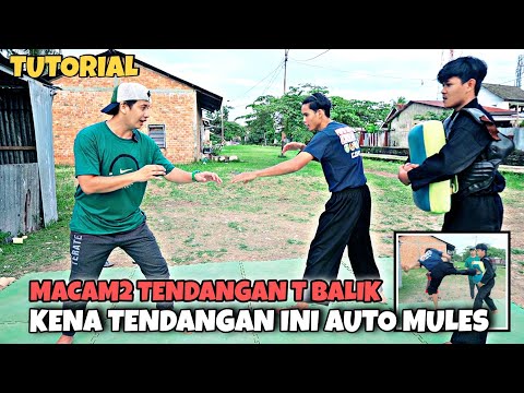 The Hardest Kick, Hit by Auto Mules, Various T Returns