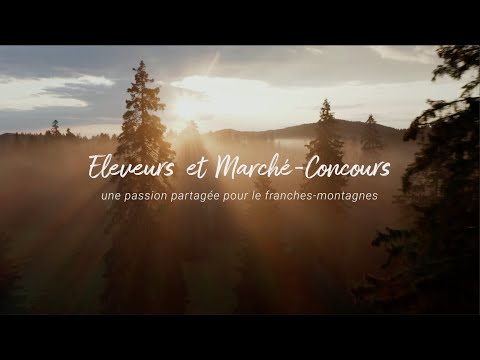 Eleveurs et Marché Concours - une passion partagée pour le franches-montagnes