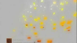 Tomahawk - Sun Dance [Video]