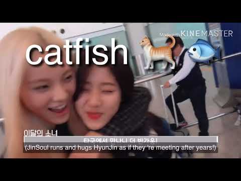 catfish (hyunjin + jinsoul) loona