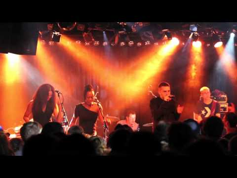 Stereo Luchs & The Scrucialists - Was isch los // Live im EXIL