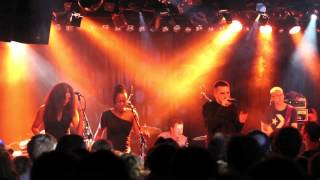 Stereo Luchs & The Scrucialists - Was isch los // Live im EXIL