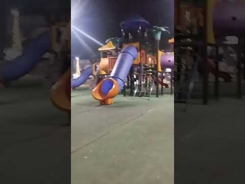 Pato bragado Paraná no clima do Natal