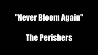 Songs Featured On Grey&#39;s Anatomy: &quot;Never Bloom Again&quot;