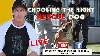 Choosing the BEST Rescue DOG for You - LIVE