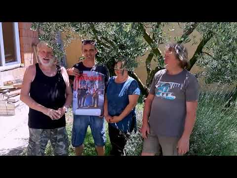 49. festival nzg "Števerjan 2019" - Ans. Folkton - petek