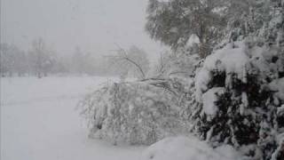 Insomnium The Day It All Came Down