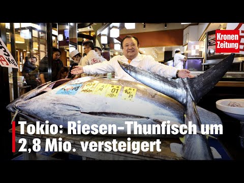 Tokyo: Giant tuna auctioned for €2.8 million | krone.tv NEWS