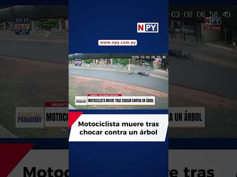 Motociclista muere tras chocar contra un árbol