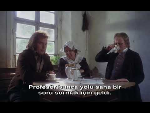 The Enigma of Kaspar Hauser (1974) - Mantık Sorusu