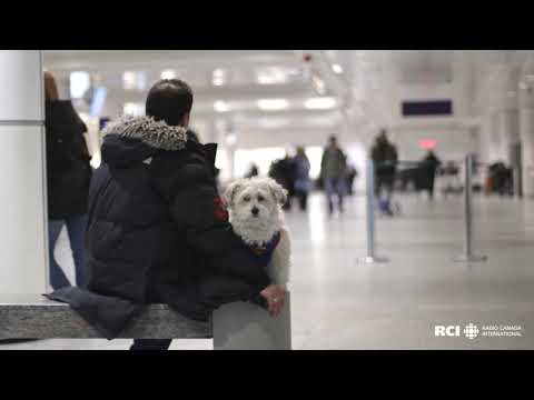 Montreal – Aeroporto Internacional Pierre Elliott Trudeau (Quebec, Canadá)