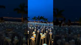 10,000 Roses Cafe and More #cebu #10000 #rose #travel #philippines