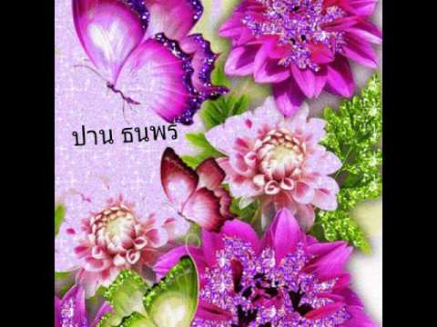 ความคิดเห็นของเชื้อโรคม้า เพิ่มสมาชิกใน Karaganda