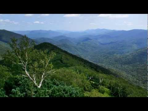 Сихотэ-Алинь - последний оплот амурского тигра