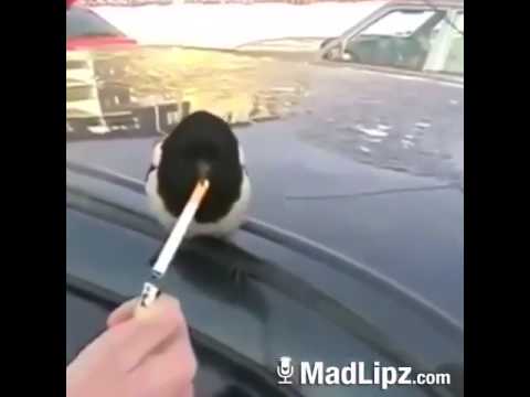 Che vivere quando il marito beve Il trattamento di alcolismo per cucire unampolla