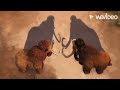 The Mammoth King Home Video Trailer