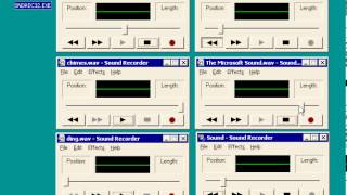 Winnoise
