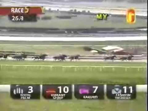 20110213 KL CLASS 5 1200M (SC) - VIBRANT SPIRIT (KM Lai)