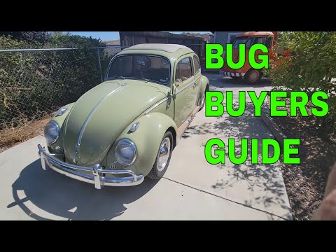 Classic VW Bug Buyers Guide — What to Know Before You Buy