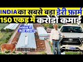 देश का सबसे बड़ा Hi Tech Dairy Farm Dairy Farm Business Plan Dairy Farming
