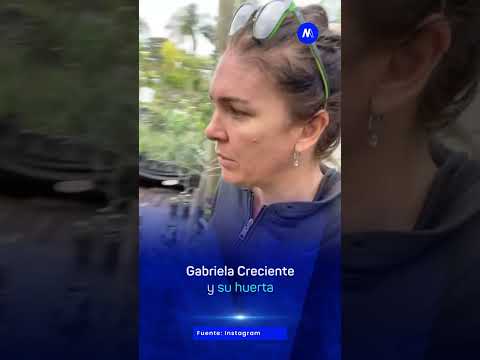 Gabriela Creciente y su huerta - Minuto Neuquén