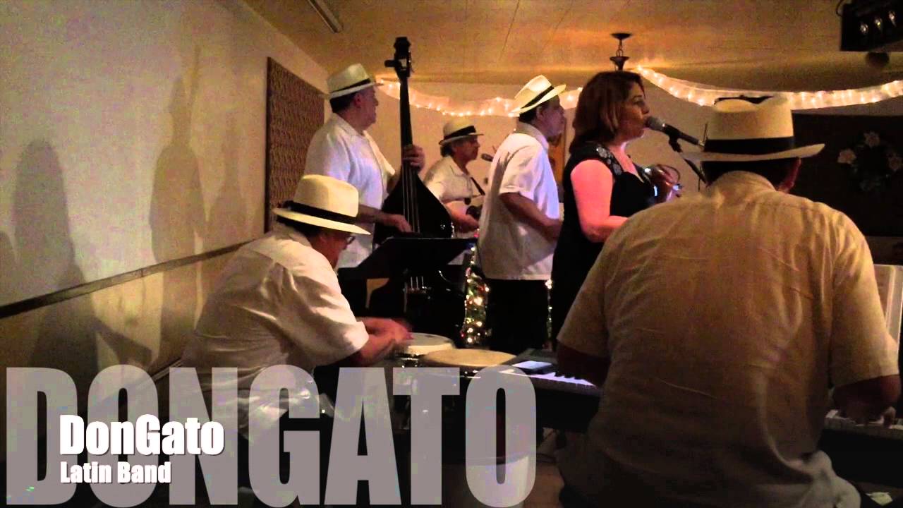 Promotional video thumbnail 1 for DonGato Latin Band